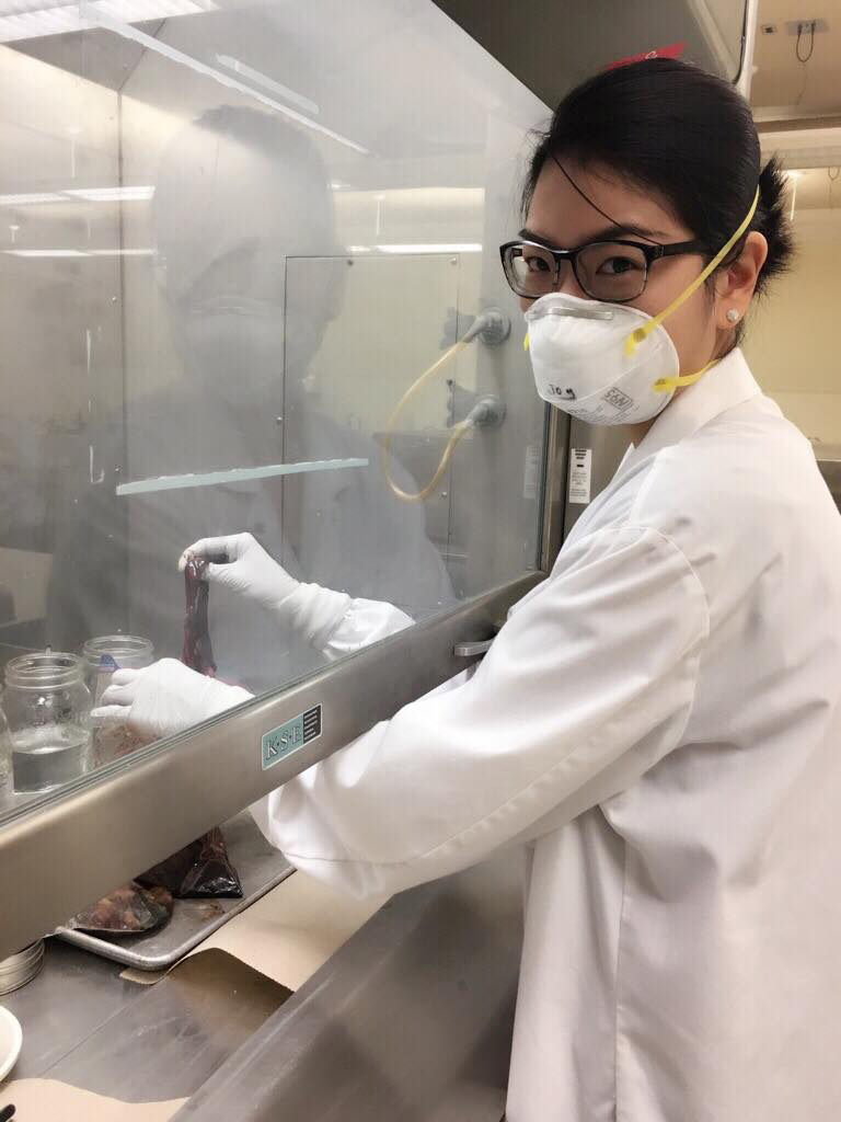 Joy Wu works in the lab. Submitted photo. 
